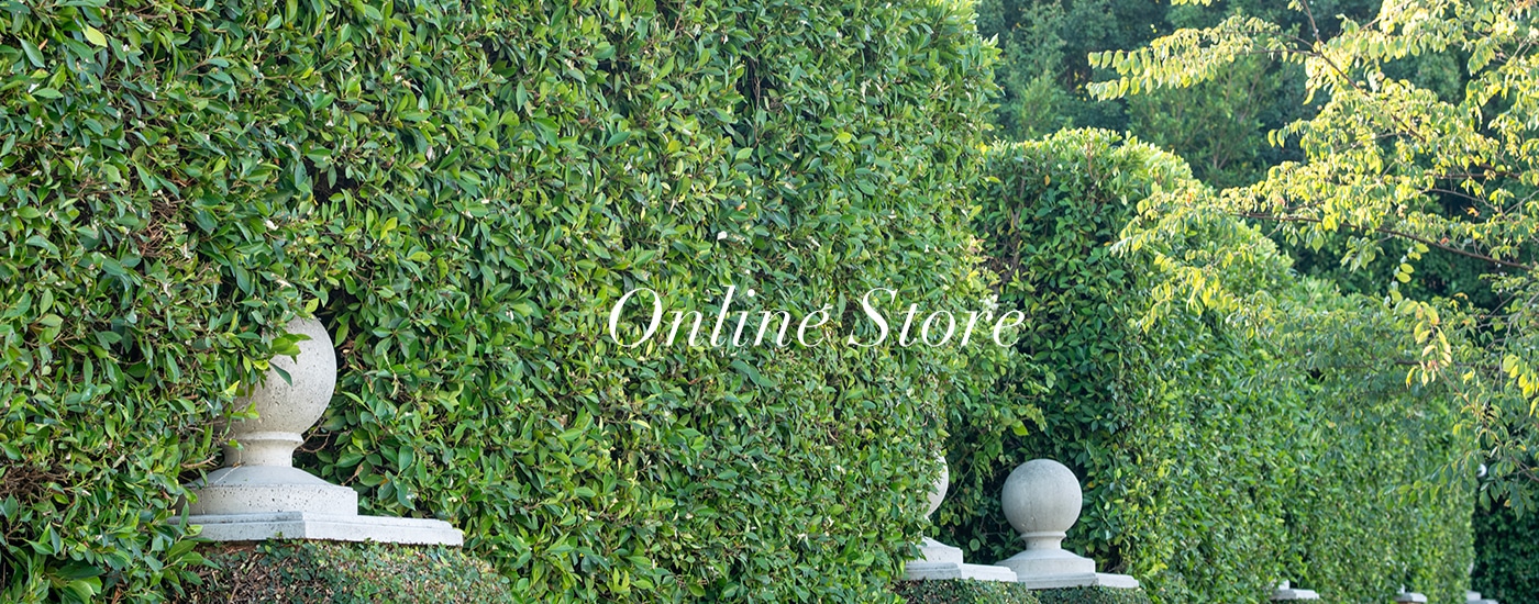 Online Store