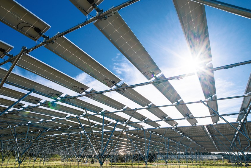 SOSA ロンハーマン匝瑳店