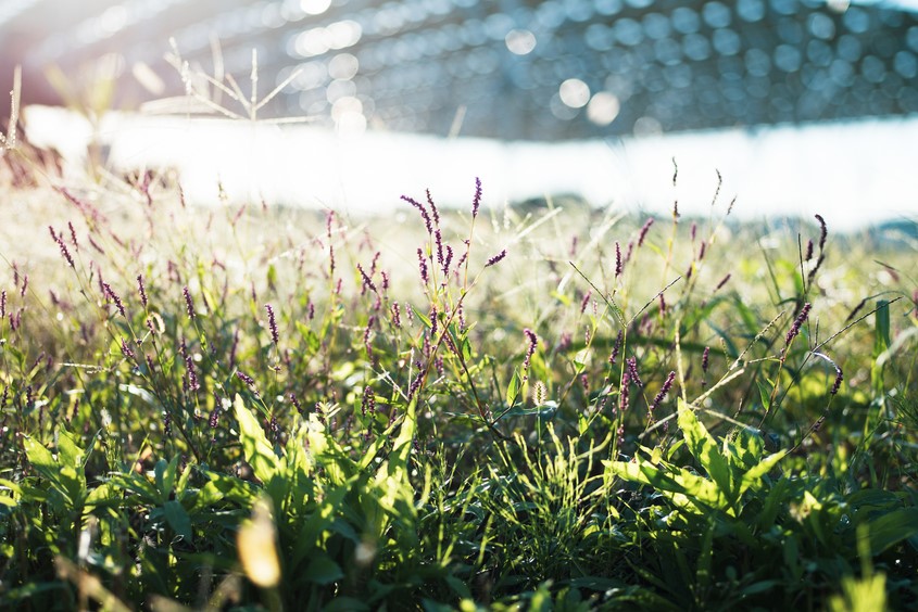 SOSA ロンハーマン匝瑳店