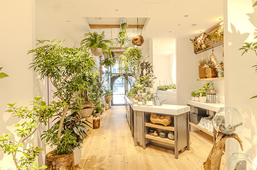 FUNABASHI RHC ロンハーマン船橋店